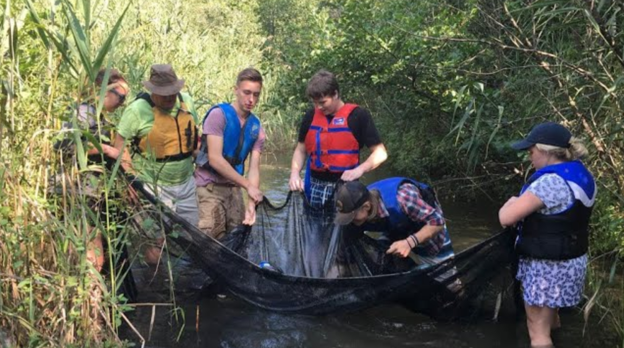 Live Fish Research with the River Institute